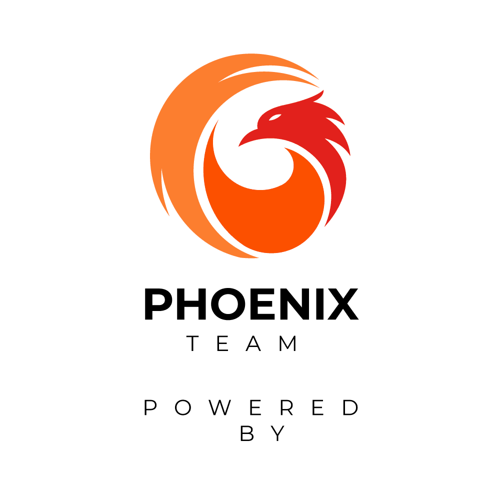  Team phoenix